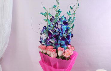 Vibrant Blue Orchids